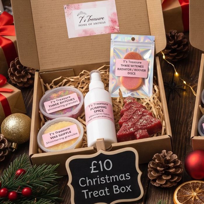 Christmas Treat Box